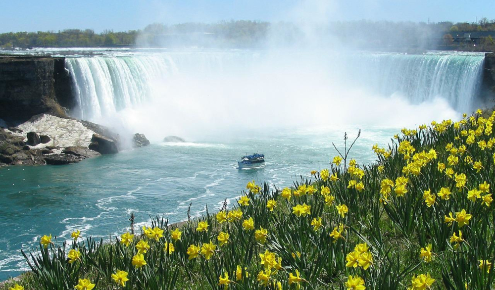 Niagara Falls, Ontario. The arrival of partypoker Ontario was expected, but bwin's launch came as a surprise. There are now 4 online poker rooms in Ontario and 2 networks.
