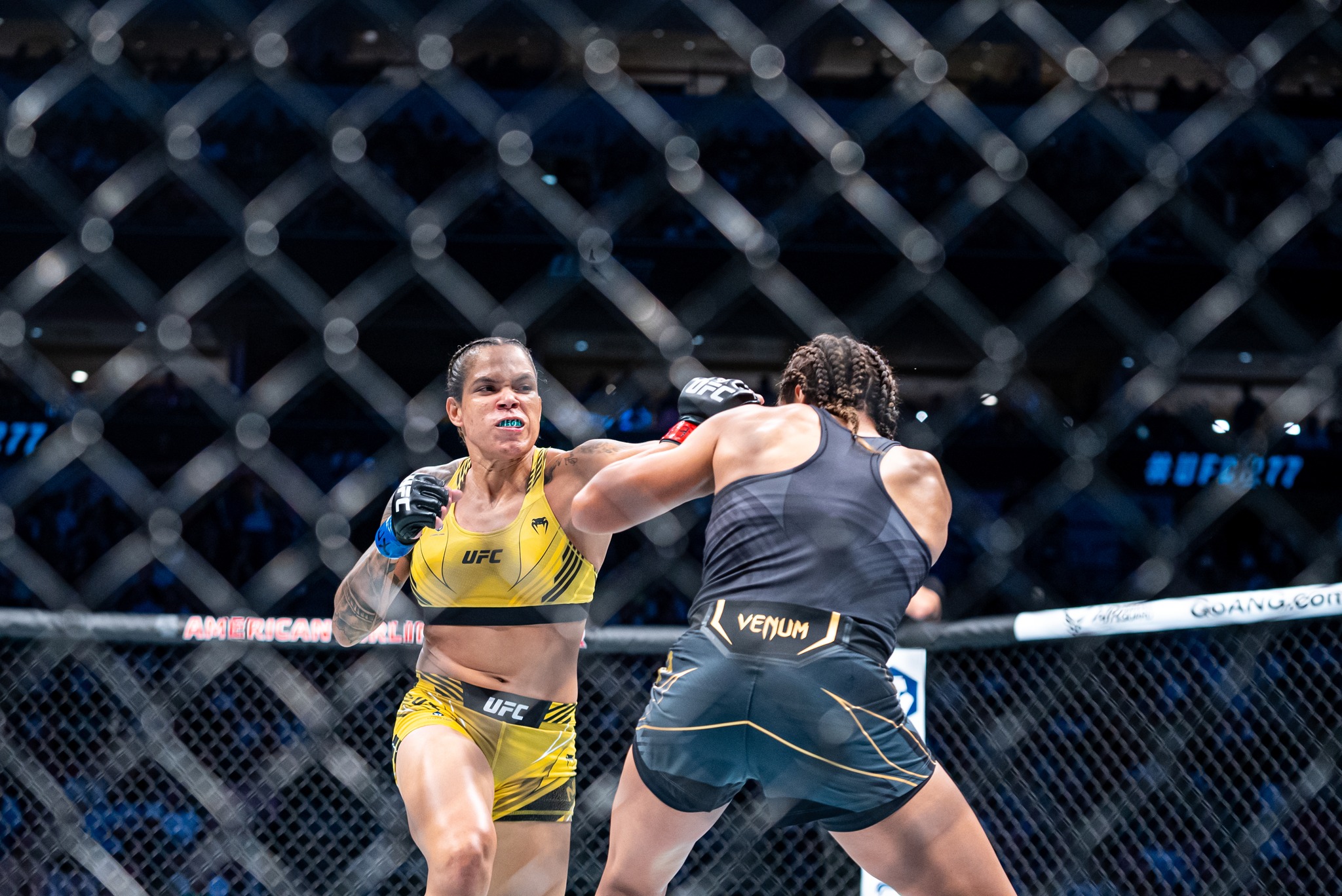 Ontario Alberta Ban Sportsbooks From Offering Wagers On UFC Canada 